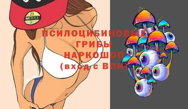 хмурый Куйбышев